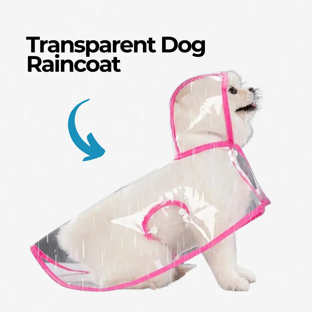 Transparent Dog Raincoat