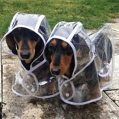 Transparent Dog Raincoat