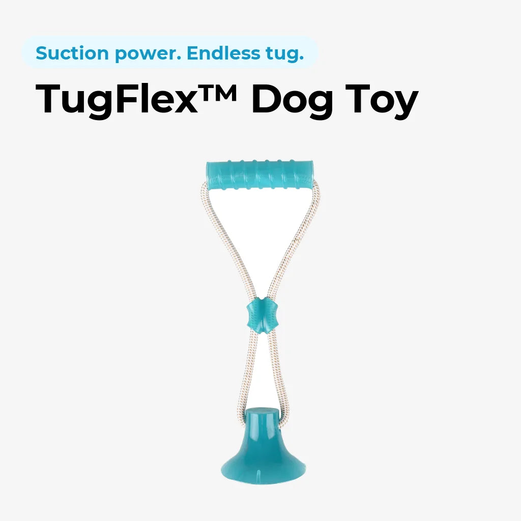 doggofinds-tugflex-dog-toy-featured