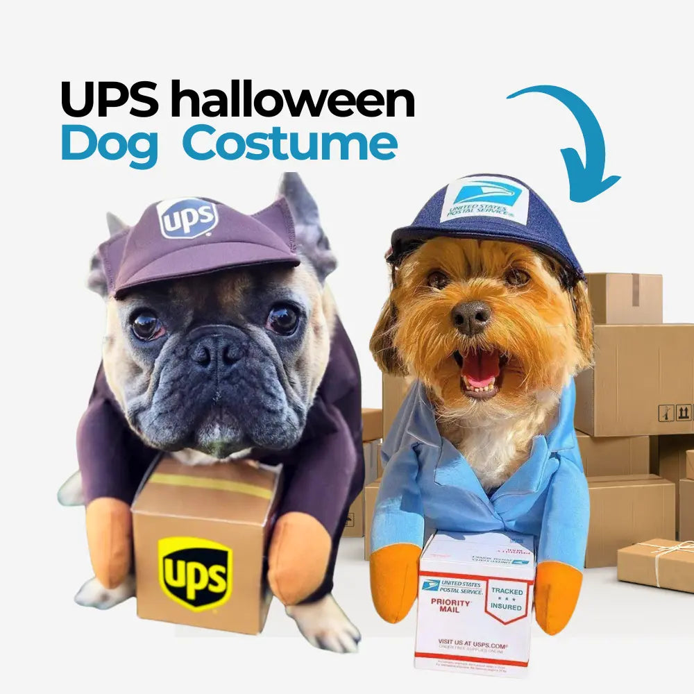 UPS Dog Costume