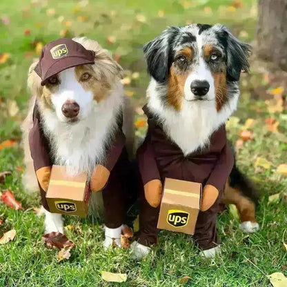 UPS Dog Costume