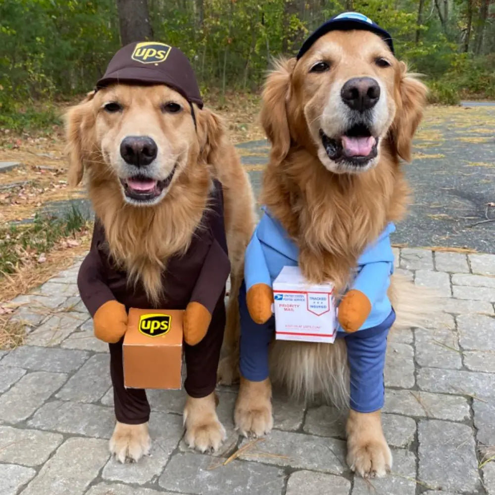 UPS Dog Costume