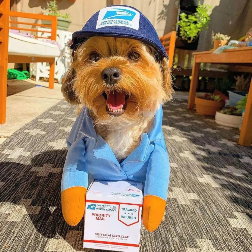 UPS Dog Costume