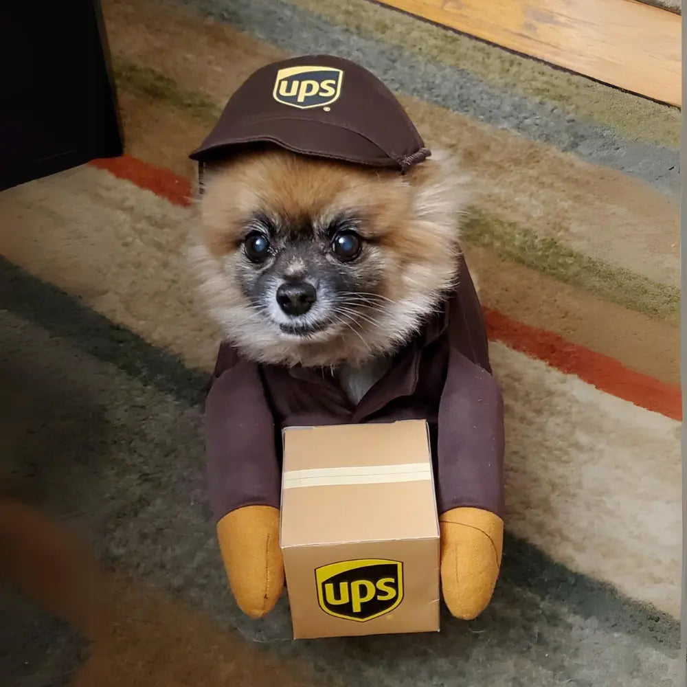 UPS Dog Costume