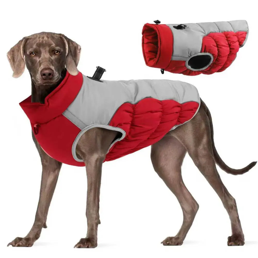 Waterproof Dog Jacket