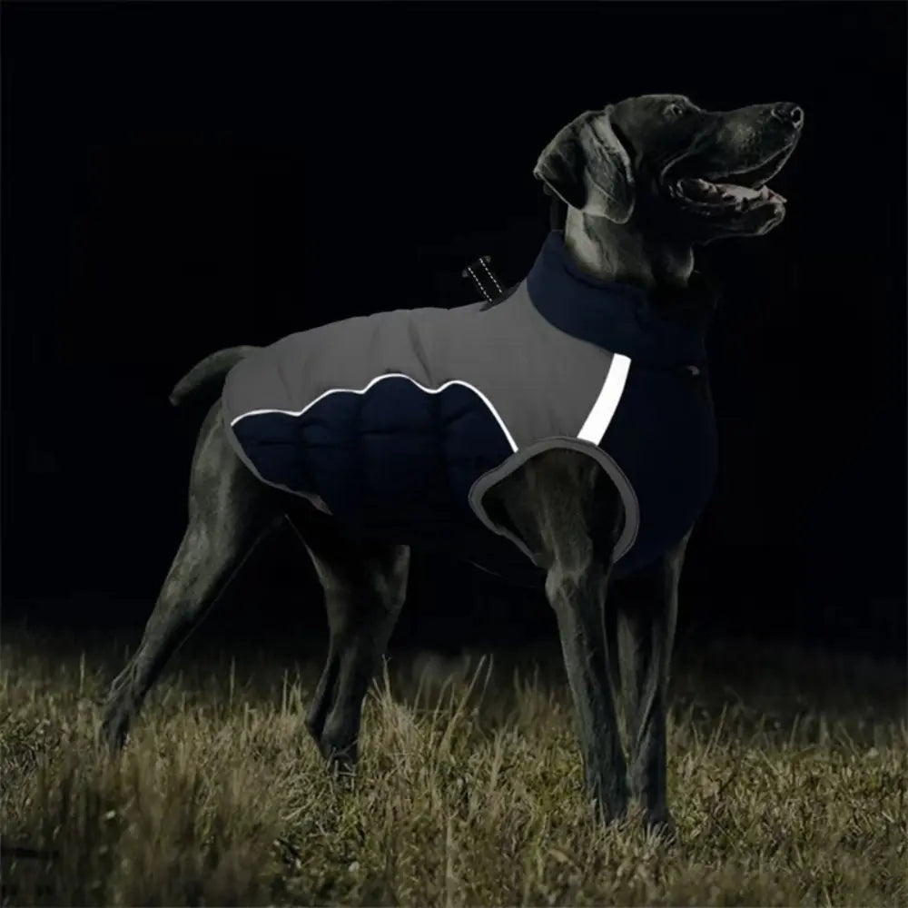 Waterproof Dog Jacket