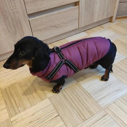 Waterproof Winter Jacket with Harness