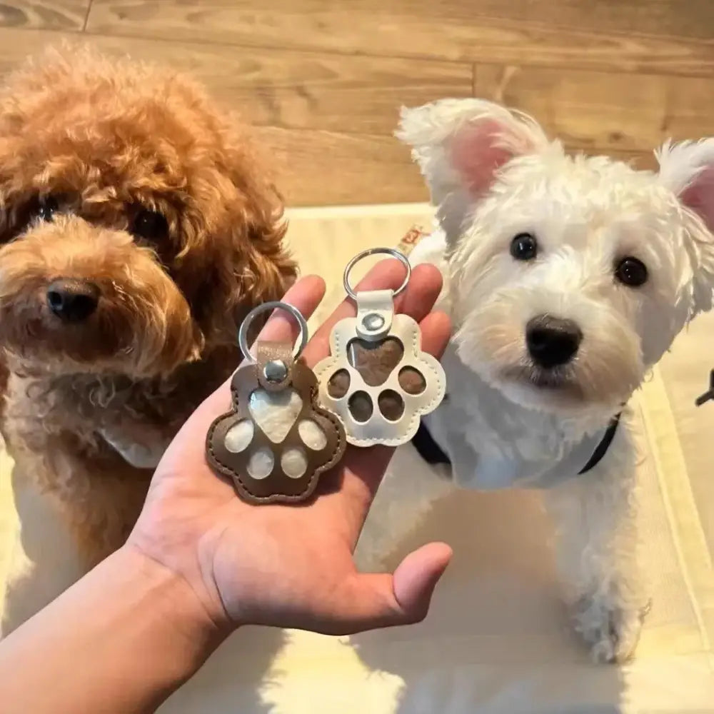 FurEver With You – Pet Hair Keepsake Keychain