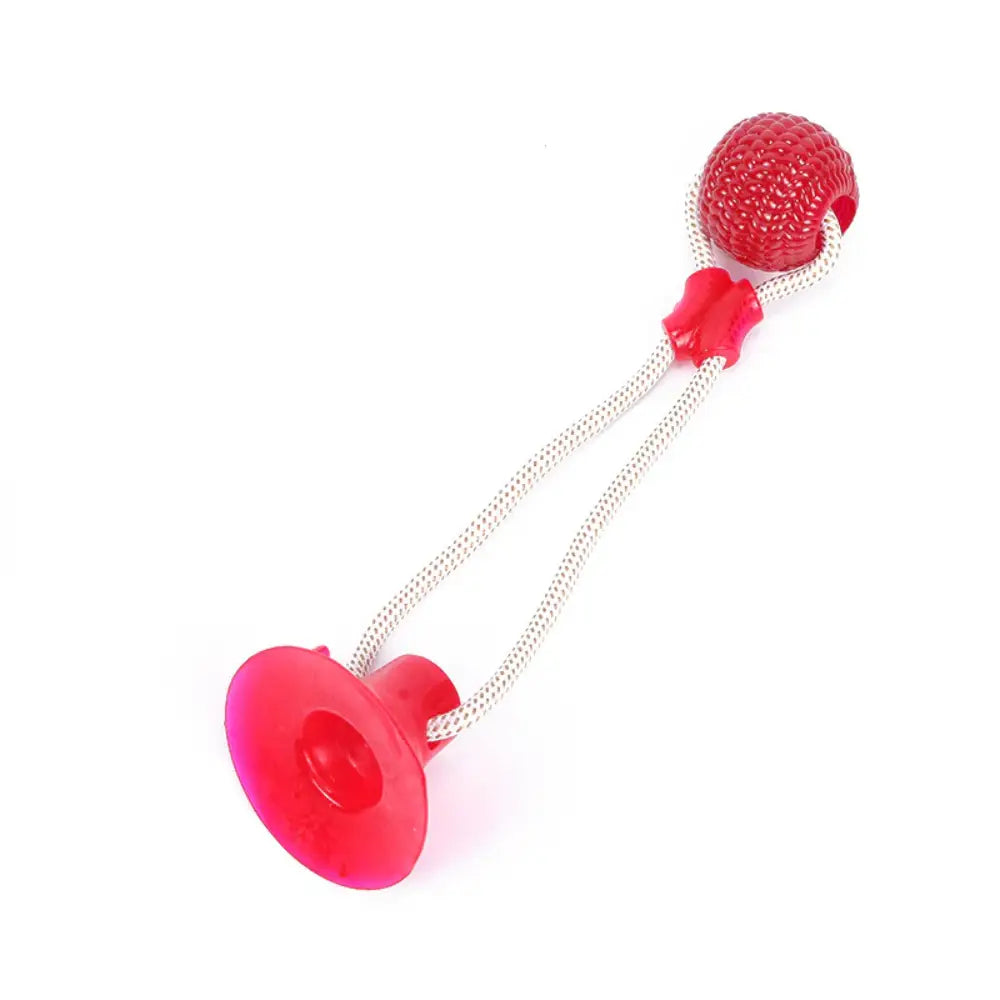 Interactive Suction Cup Dog Toy