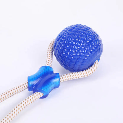 Interactive Suction Cup Dog Toy