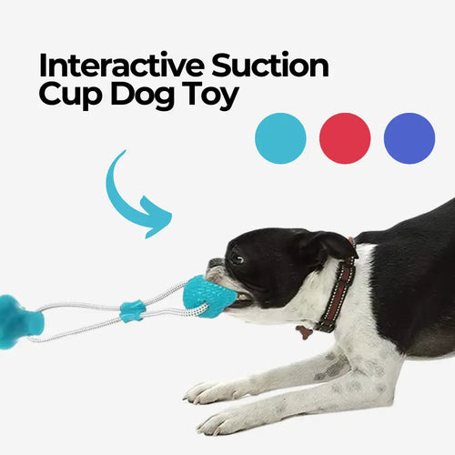 Interactive Suction Cup Dog Toy