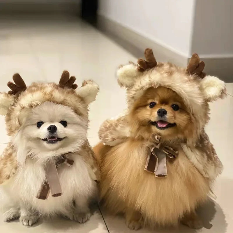 pomeranian dog christmas reindeer costume doggo finds