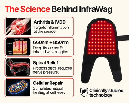 InfraWag™ Red Light Therapy