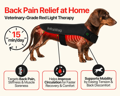 InfraWag™ Red Light Therapy