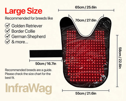 InfraWag™ Red Light Therapy