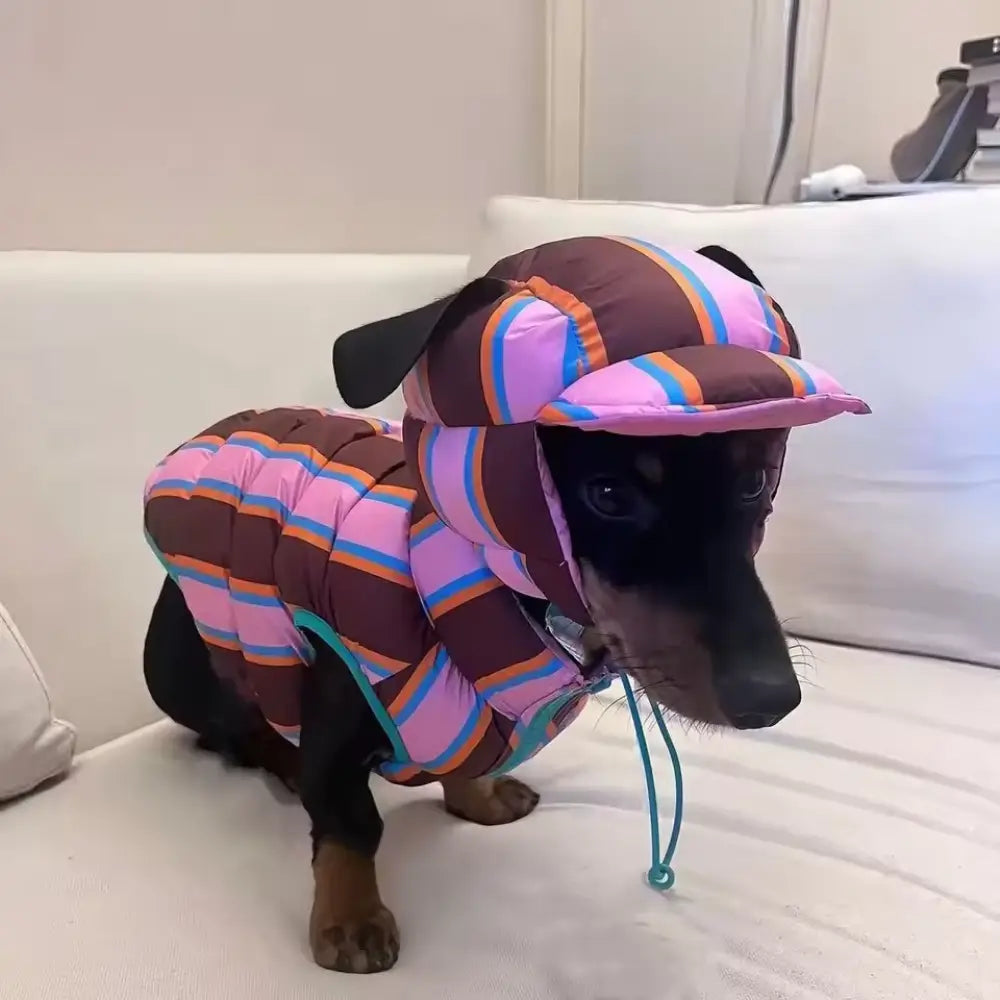 Reversible Dachshund Winter Jacket