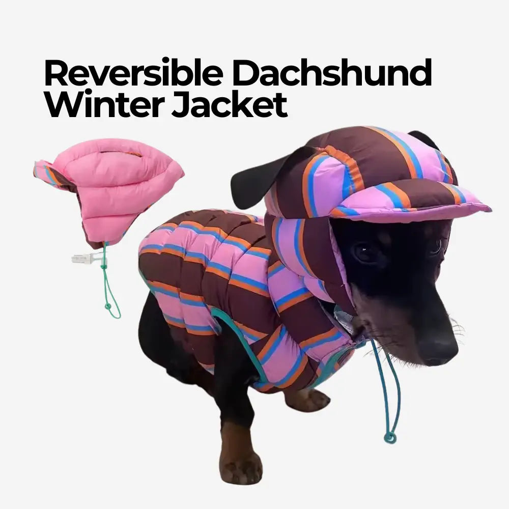 Reversible Dachshund Winter Jacket