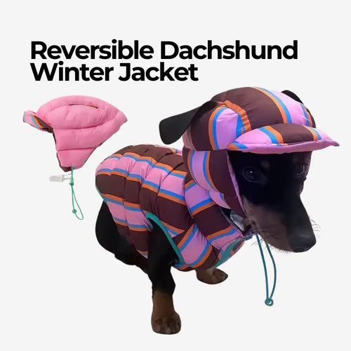 Reversible Dachshund Winter Jacket