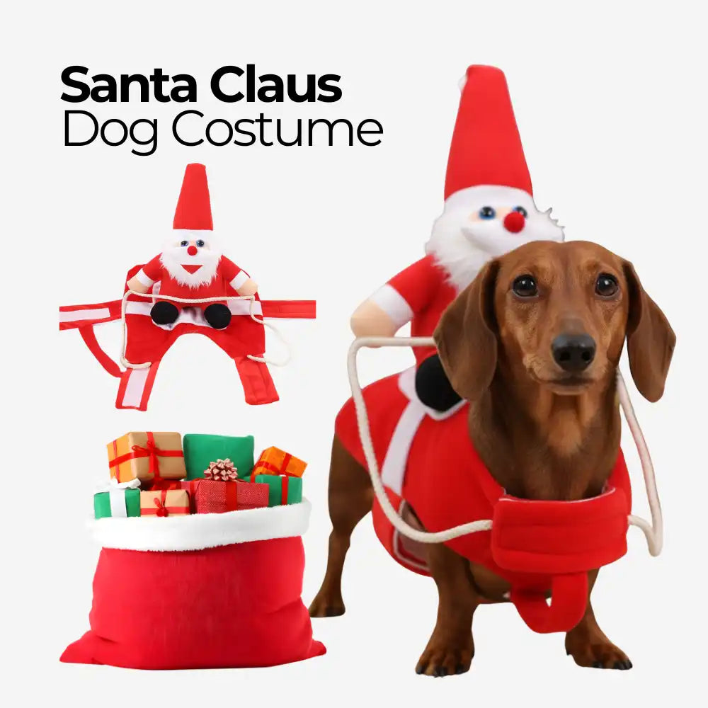 Santa Claus Dog Costume