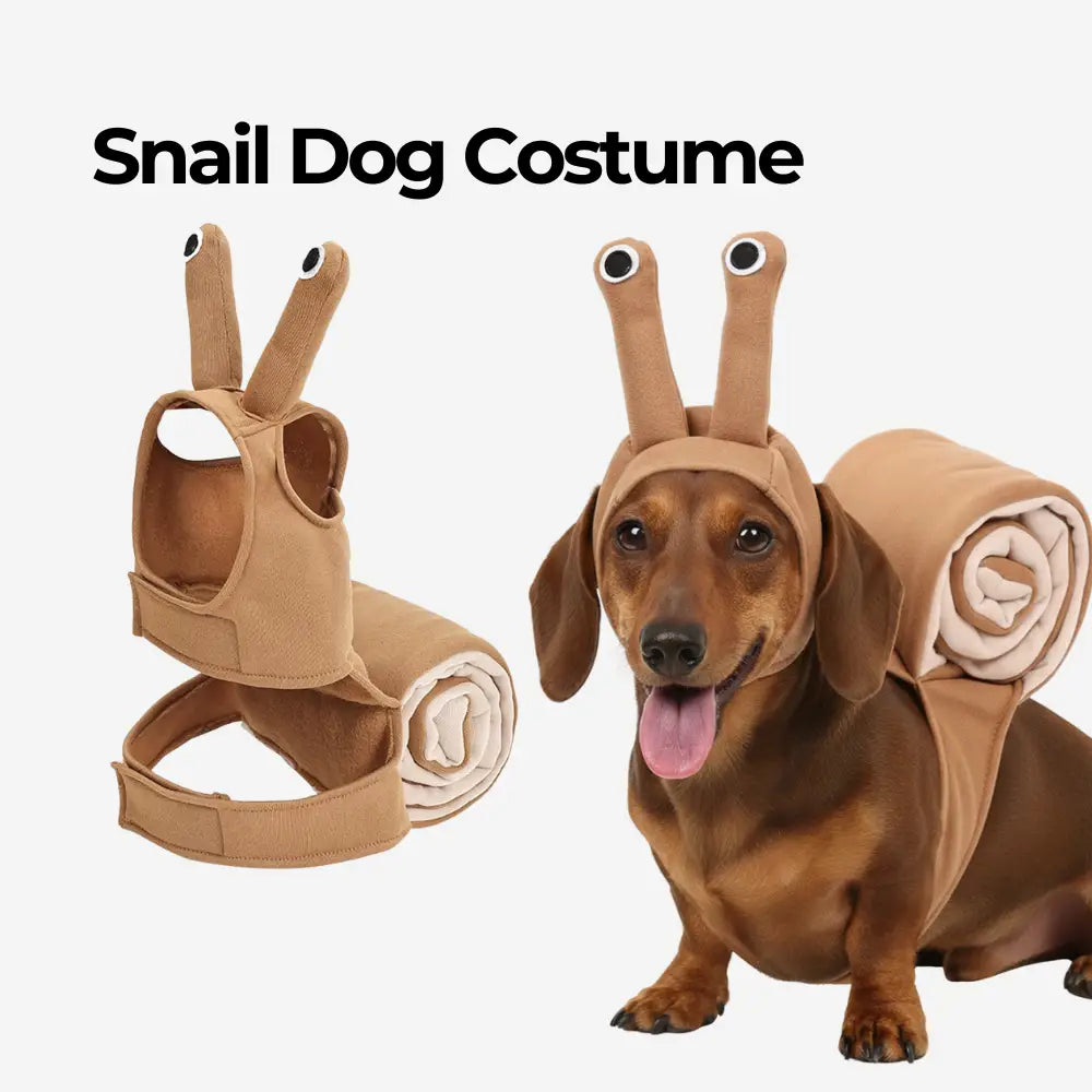 Snail Dog Costume